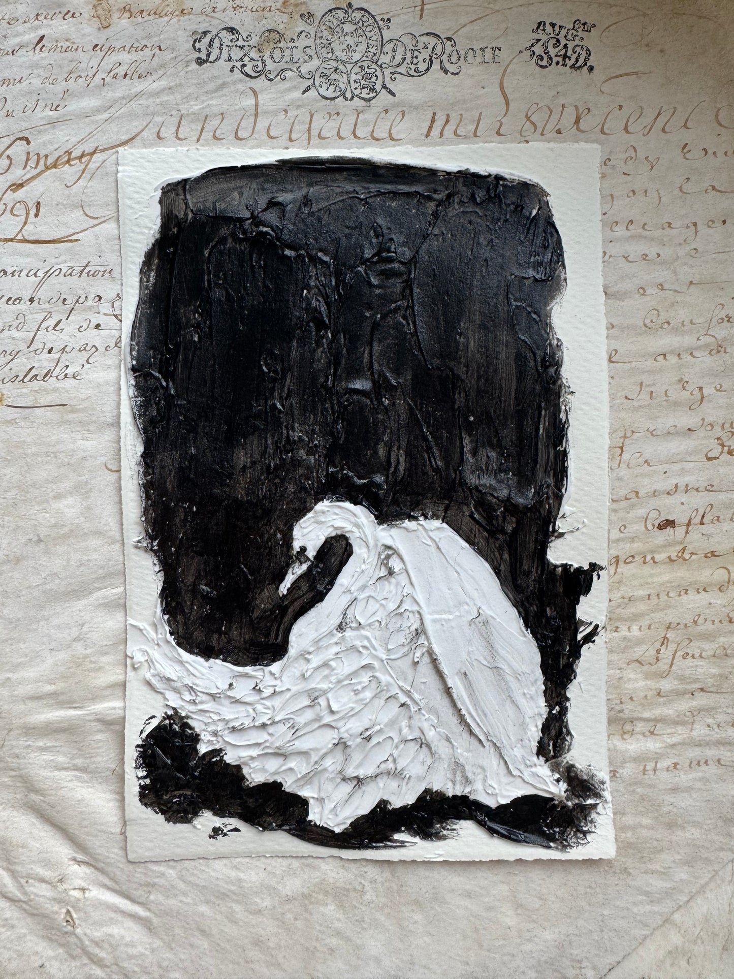 Le Cygne—une étude en lumière et sile