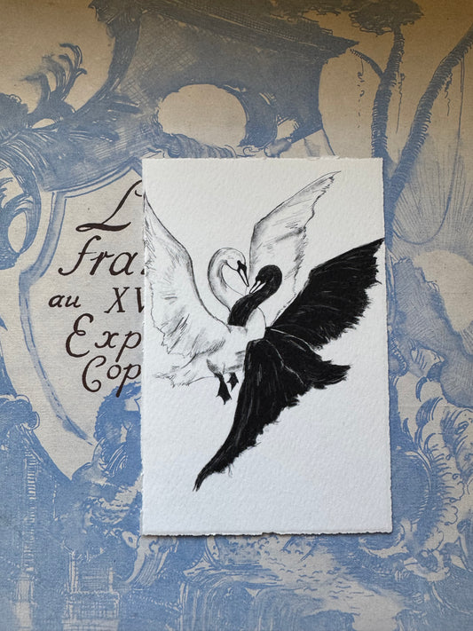 duex cygnes