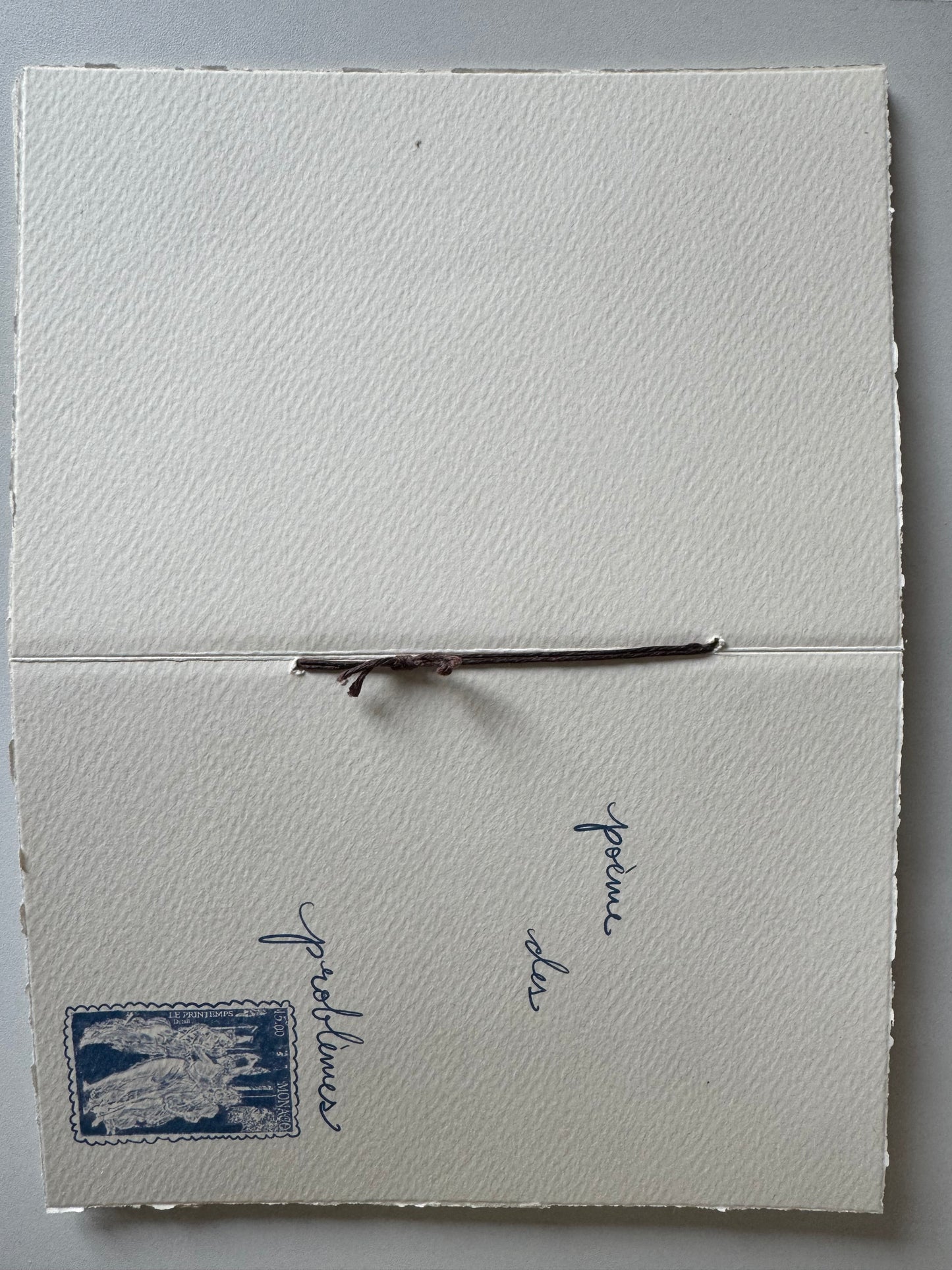 poème de problèmes art book